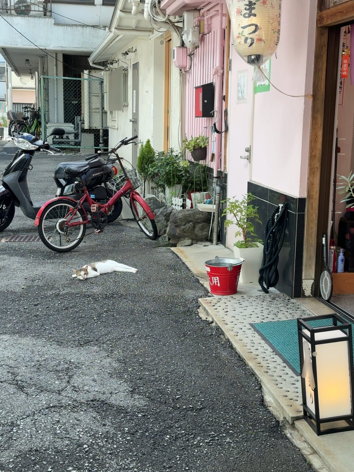 2024年7月17日木曜日15時頃の飛田新地の風景